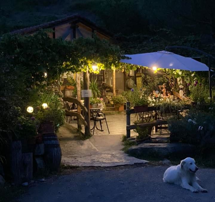 Le notti in Val Chiappella