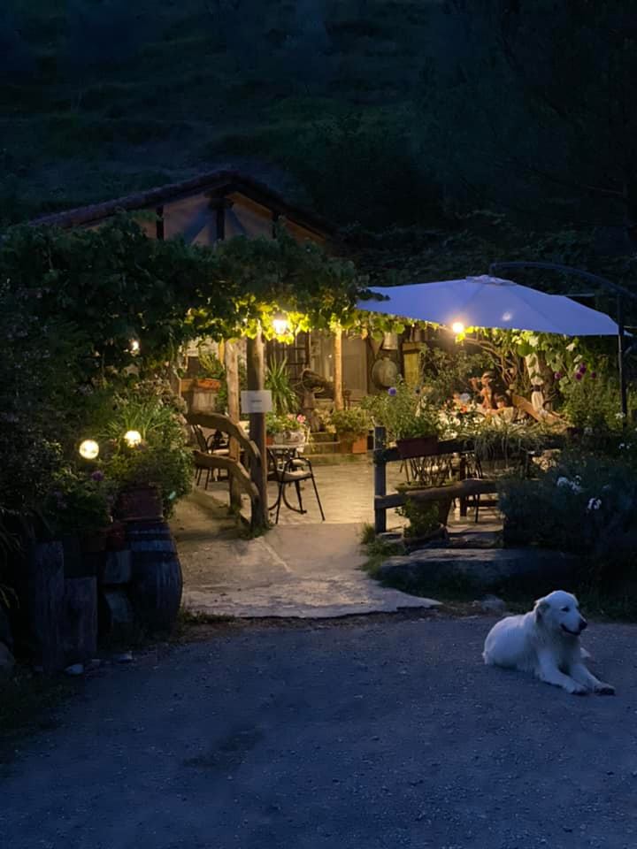 Le notti in Val Chiappella