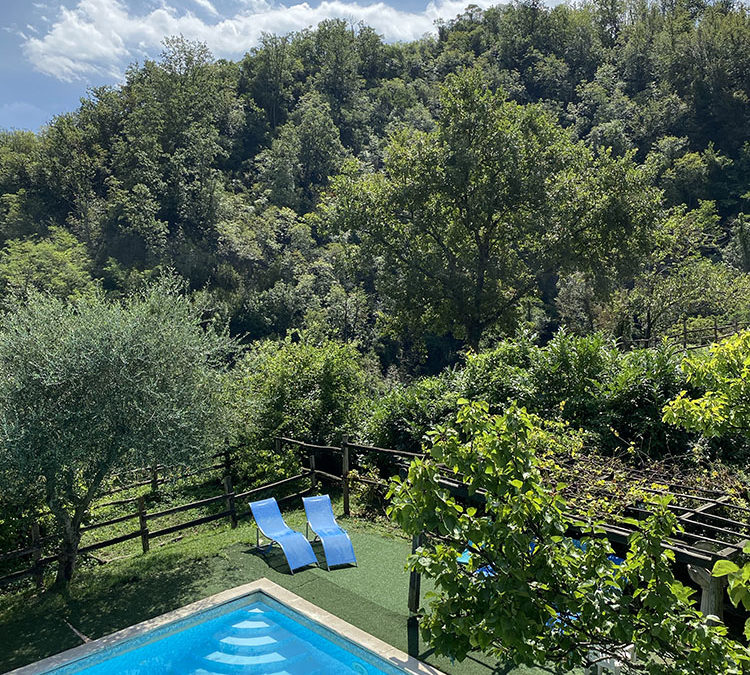 Verde e Relax